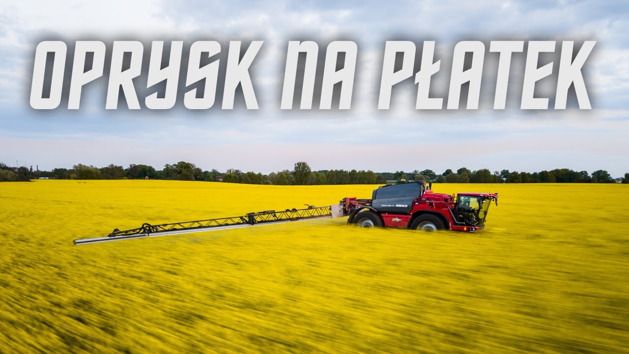 GR Lewandowscy - oprysk rzepaku 2025