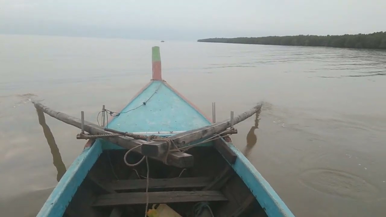sondong udang eh tiba2 kemasukan buaya ganas!