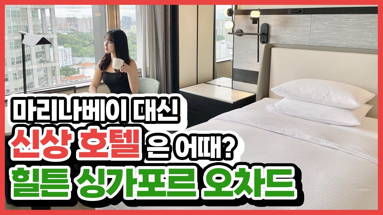 [채5+나0] 싱가포르 5성급 신상 호텔✨ 힐튼 싱가포르 오차드 솔직 리뷰