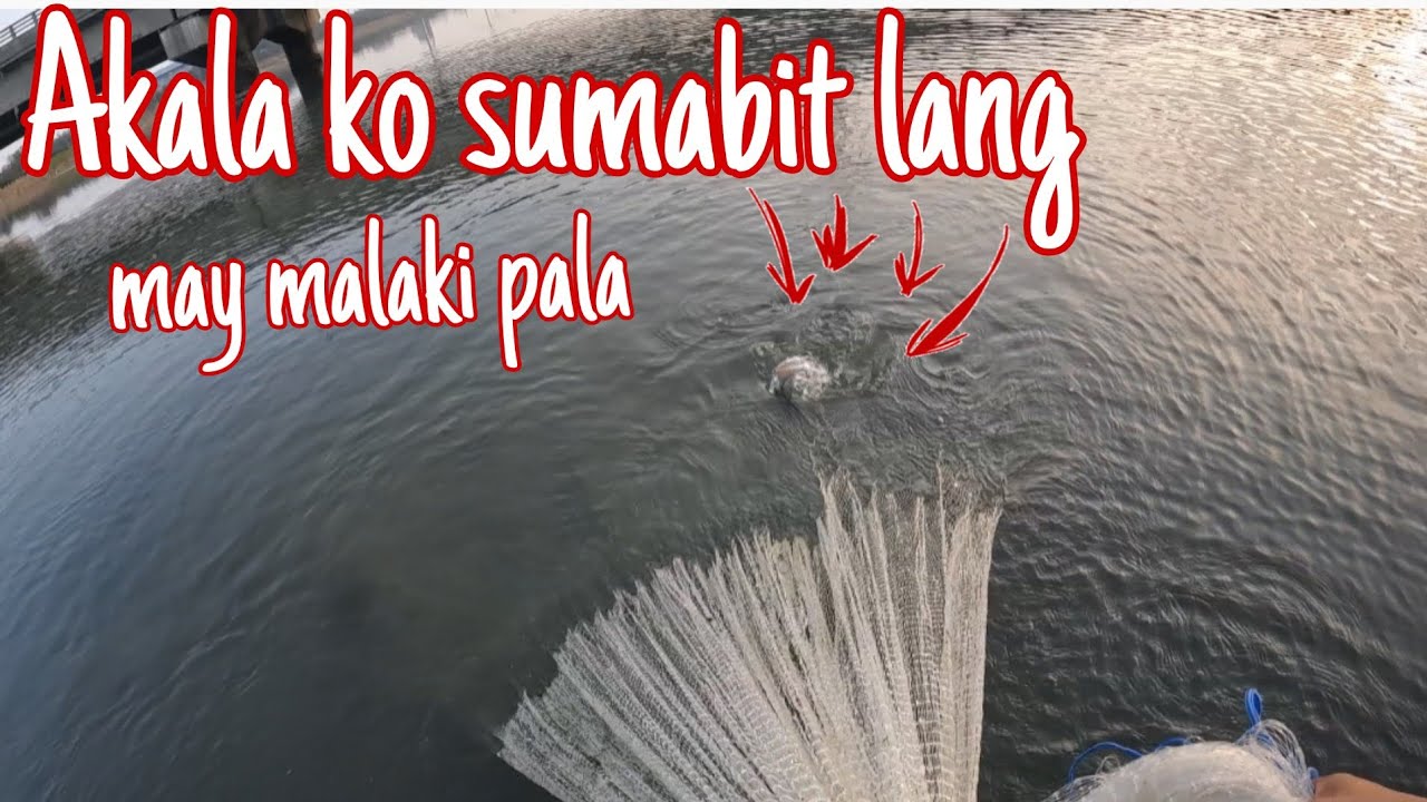   Mga isdang dagat Dito sila nag lalaro Kurog kurog pala Akala ko sumabit lang 