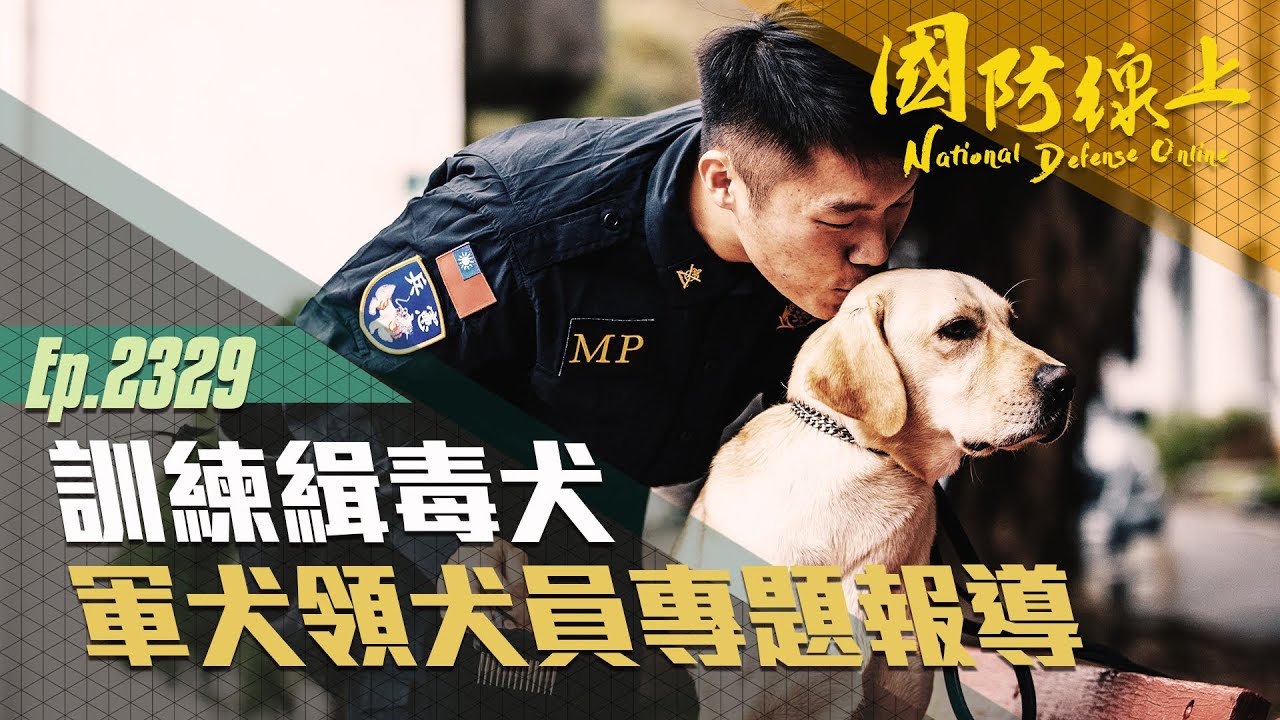 《軍犬領犬員專題報導》培養拉布拉多成為緝毒犬之路