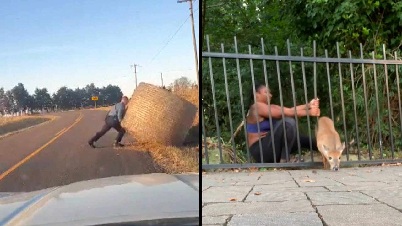 Amazing Feats of Strength