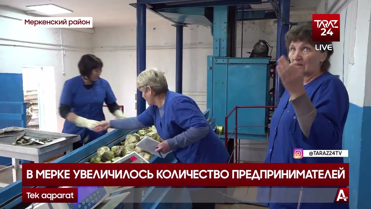 В МЕРКЕ УВЕЛИЧИЛОСЬ КОЛИЧЕСТВО ПРЕДПРИНИМАТЕЛЕЙ