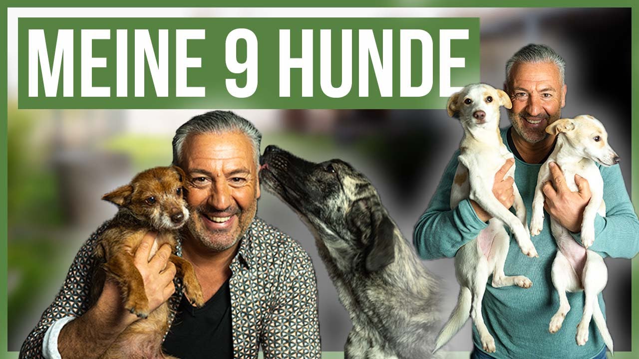 Die Rasselbande ist gewachsen 😍 Meine 9 Hunde aus dem TIERSCHUTZ!