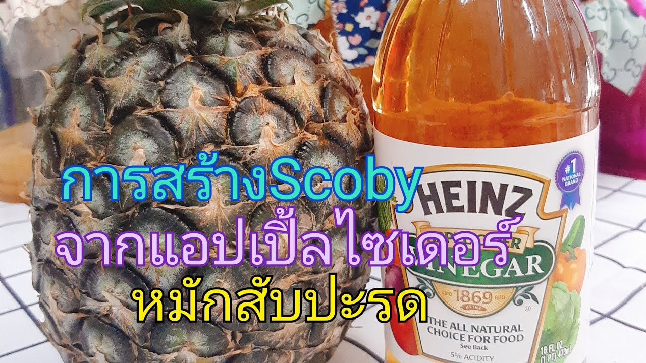 #Приготовление Scoby из ферментированного яблочного сидра и ананаса, эпизод 81