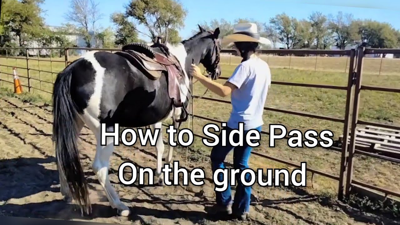 Side Passing Lesson - Using a seasoned horse and starting to side pass for the first time