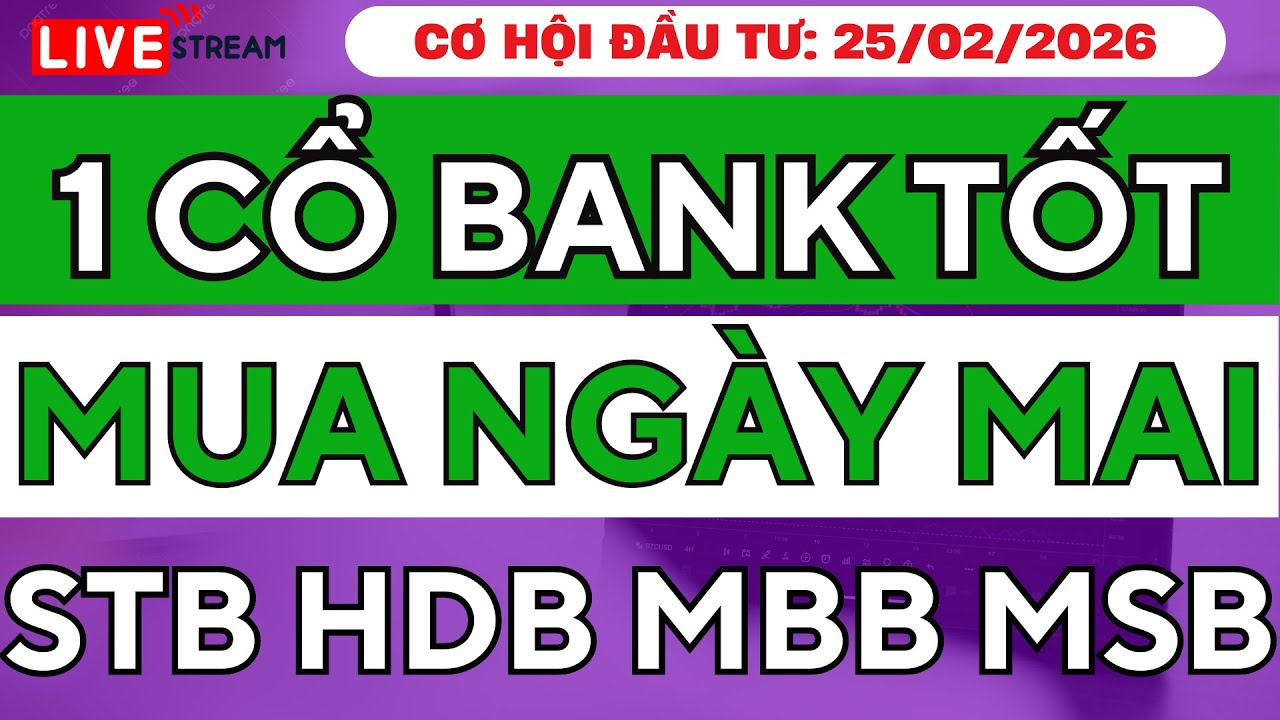 MUA CỔ PHIẾU NGÂN HÀNG NÀO LÚC NÀY ! STB MBB MSB HDB CÓ GÌ ĐẶC BIỆT ?