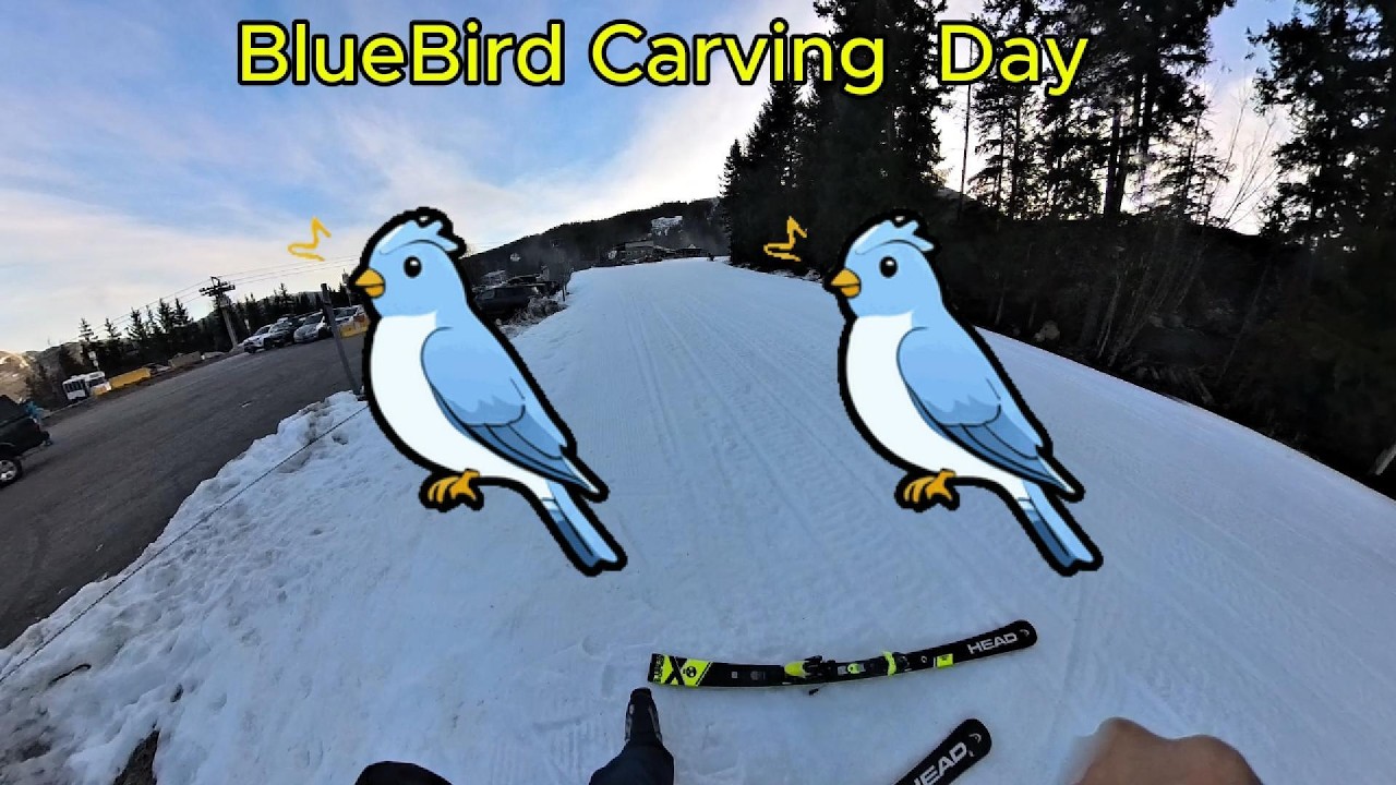 Whistler - Carving Day on the Slopes !  (K,R)