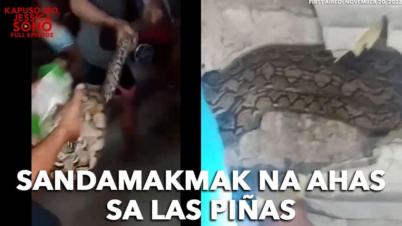 KABAHAYAN SA LAS PIÑAS CITY, PINASOK NG MGA SAWA!| Kapuso Mo, Jessica Soho