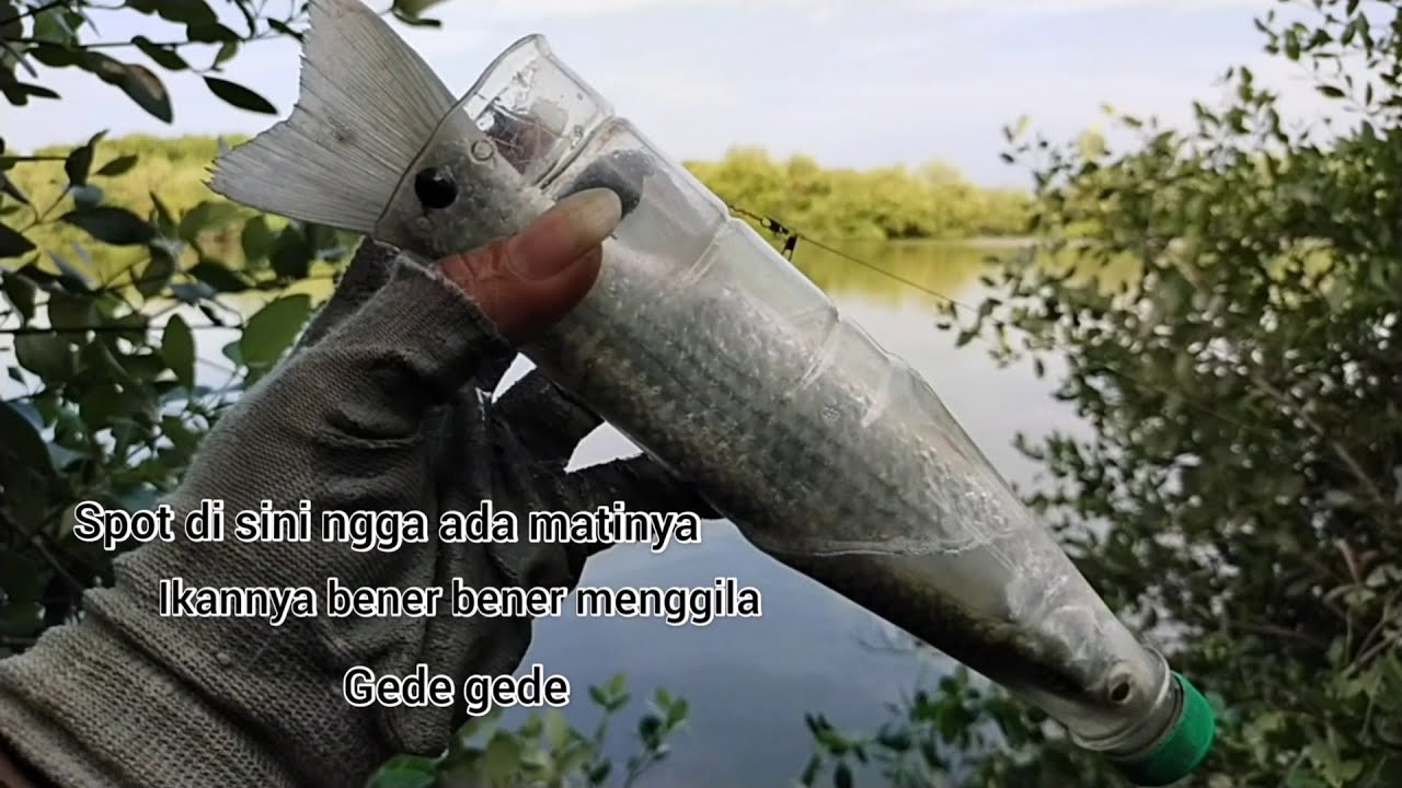 wedaaan..!!! mancing di sini ngga ada matinya|| ikannya bener bener menggila|| babon babon