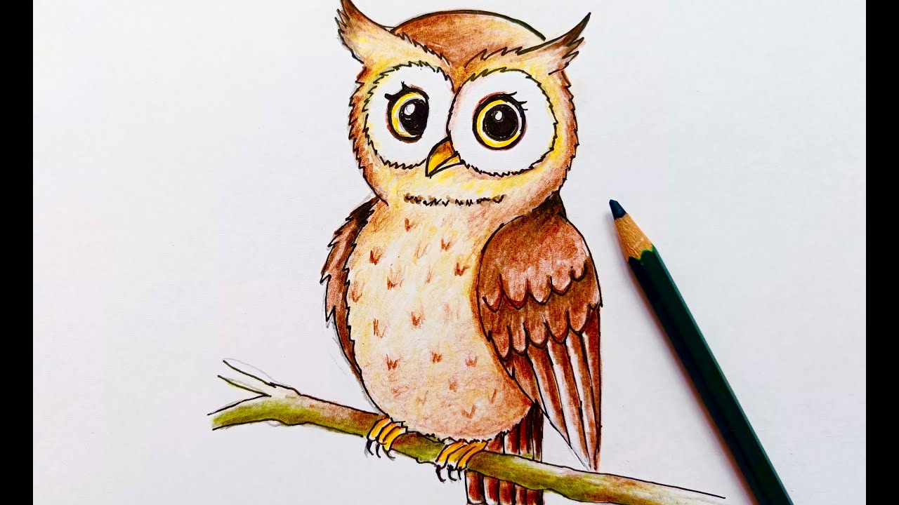 Owl Darwing for Beginners II Easy Drawings II Colour Pencils Drawing