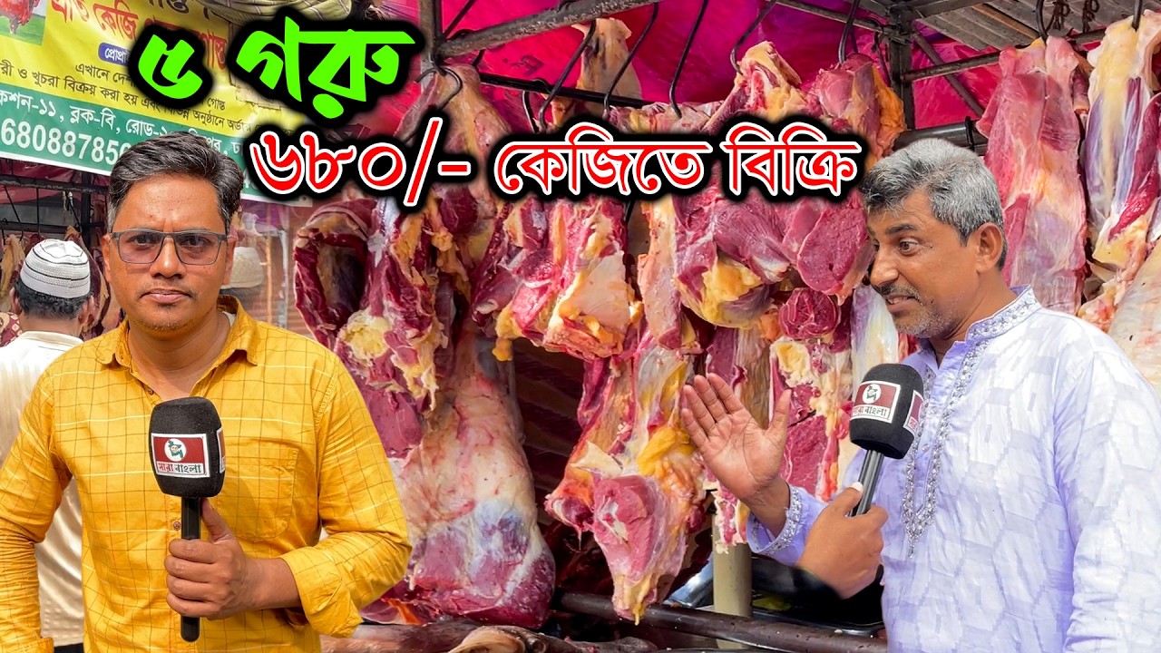 এই বাজারে ৬৮০/- কেজিতে গরুর মাংস বিক্রি করে ৫ গরু জ*বাই করলেন ইকবাল গোস্তো বিতানের ইকবাল ভাই