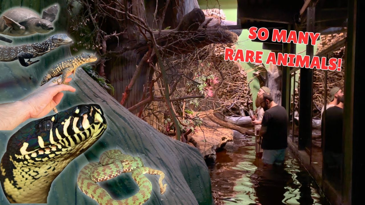 I Got a PRIVATE TOUR of the WORLDS TOP REPTILE ZOO!