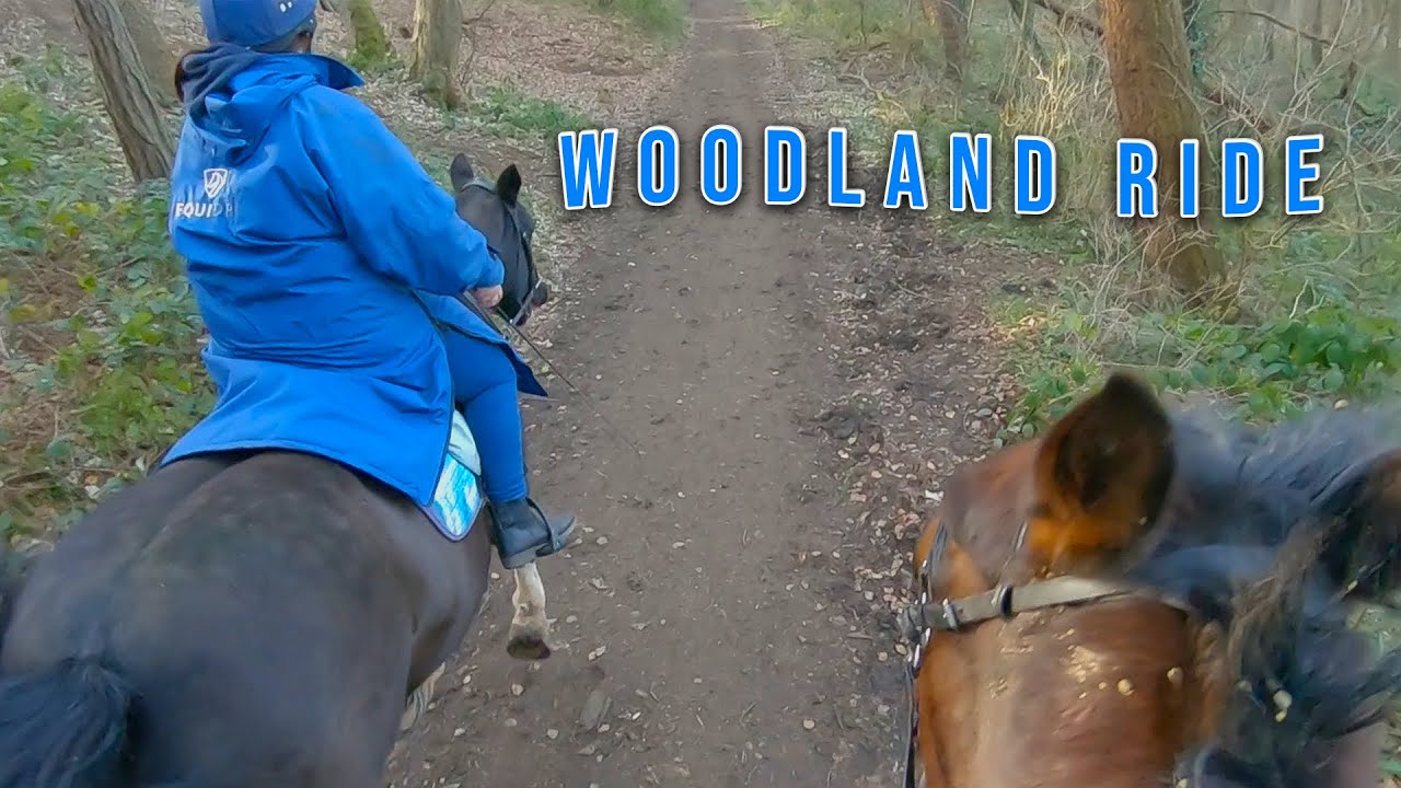 Come for a ride on Fells! | GO PRO 7 POV | EquineAsh