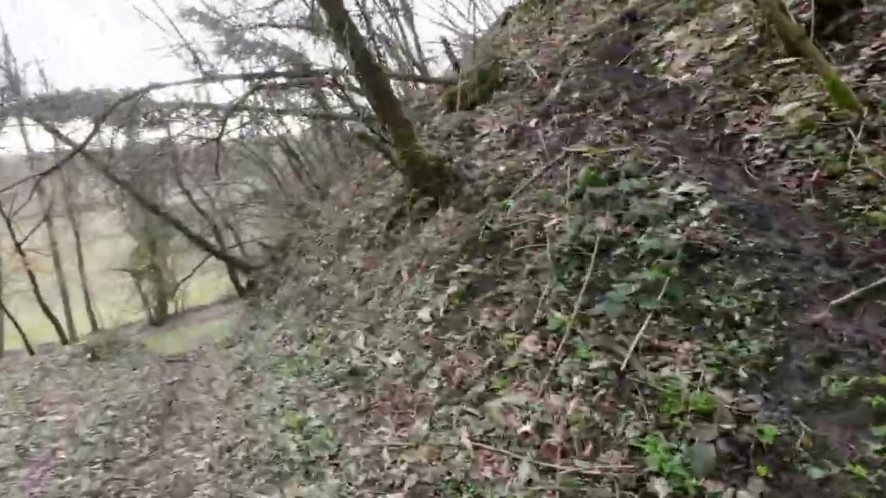 Trail 28/02/2026