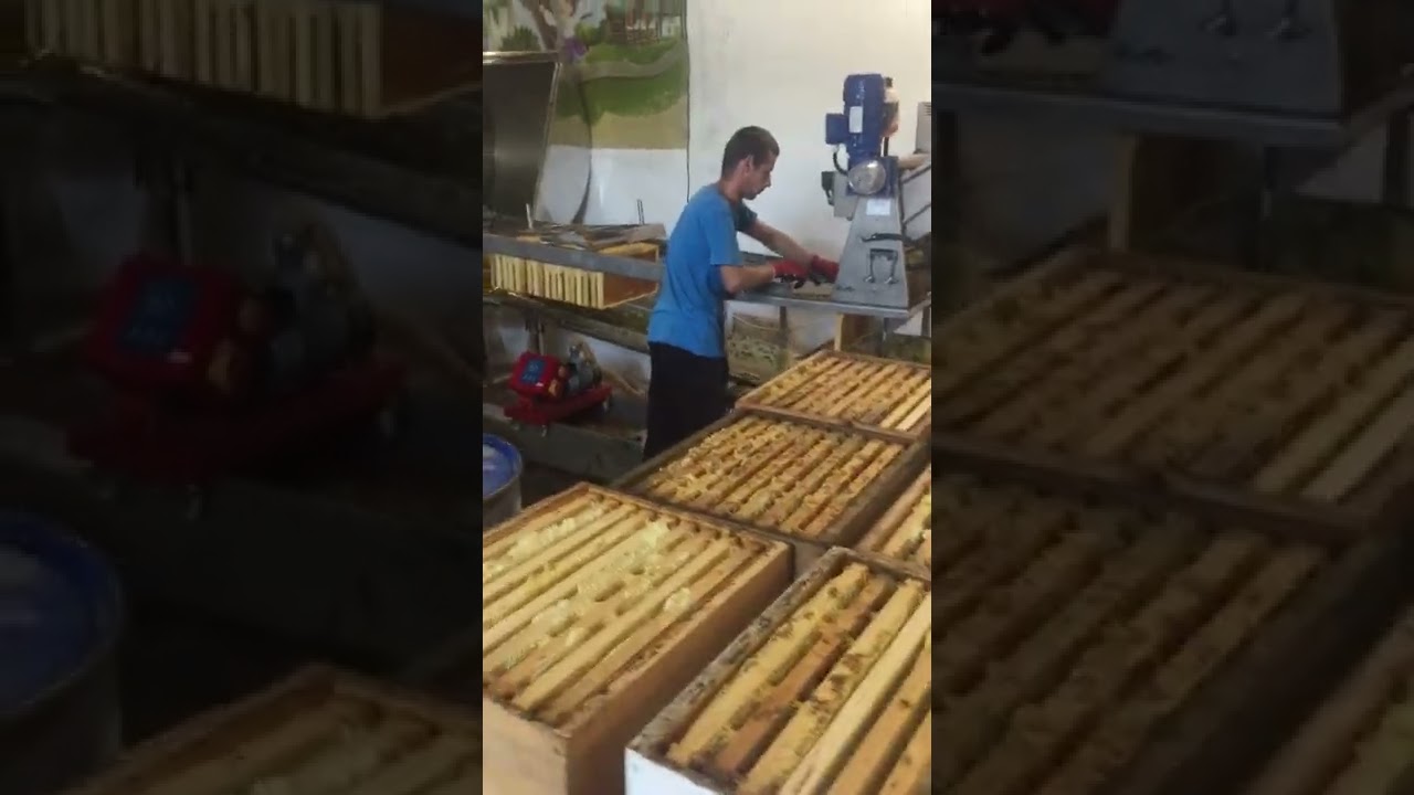 Лінія по відкачці меду Гуслія Ю. М.