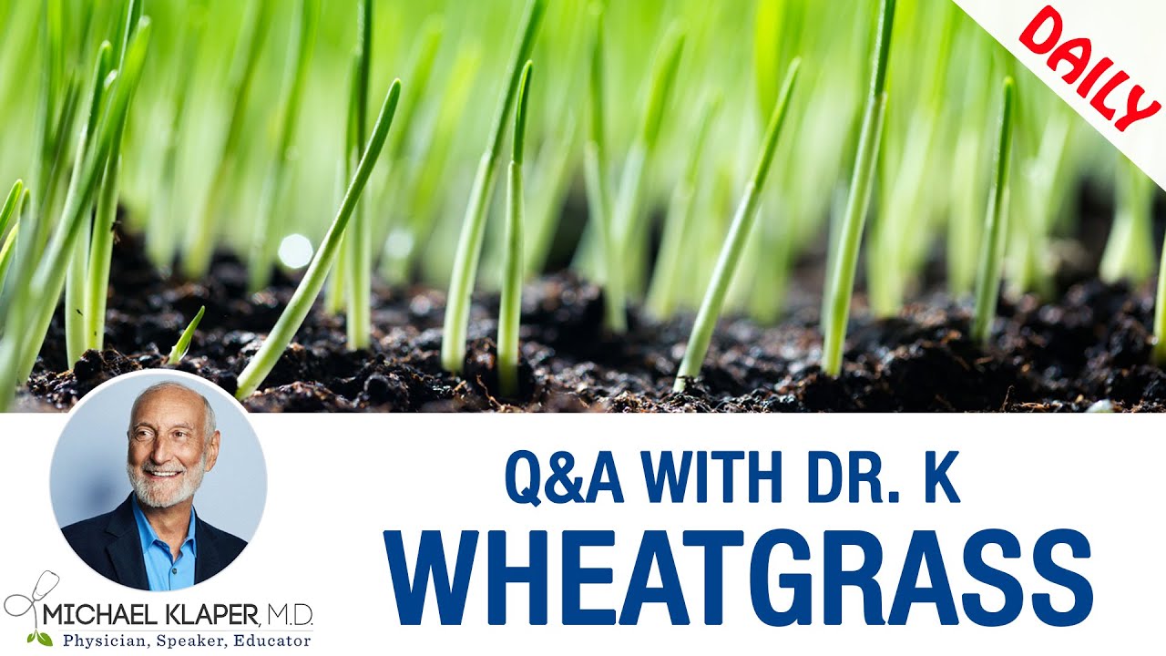 Wheatgrass - The Many Benefits Of Wheatgrass Juice