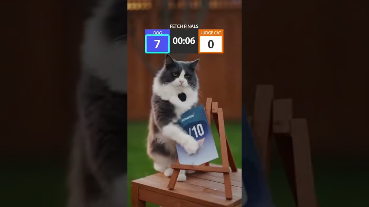Cat Rates the Dog’s Fetch Skills 