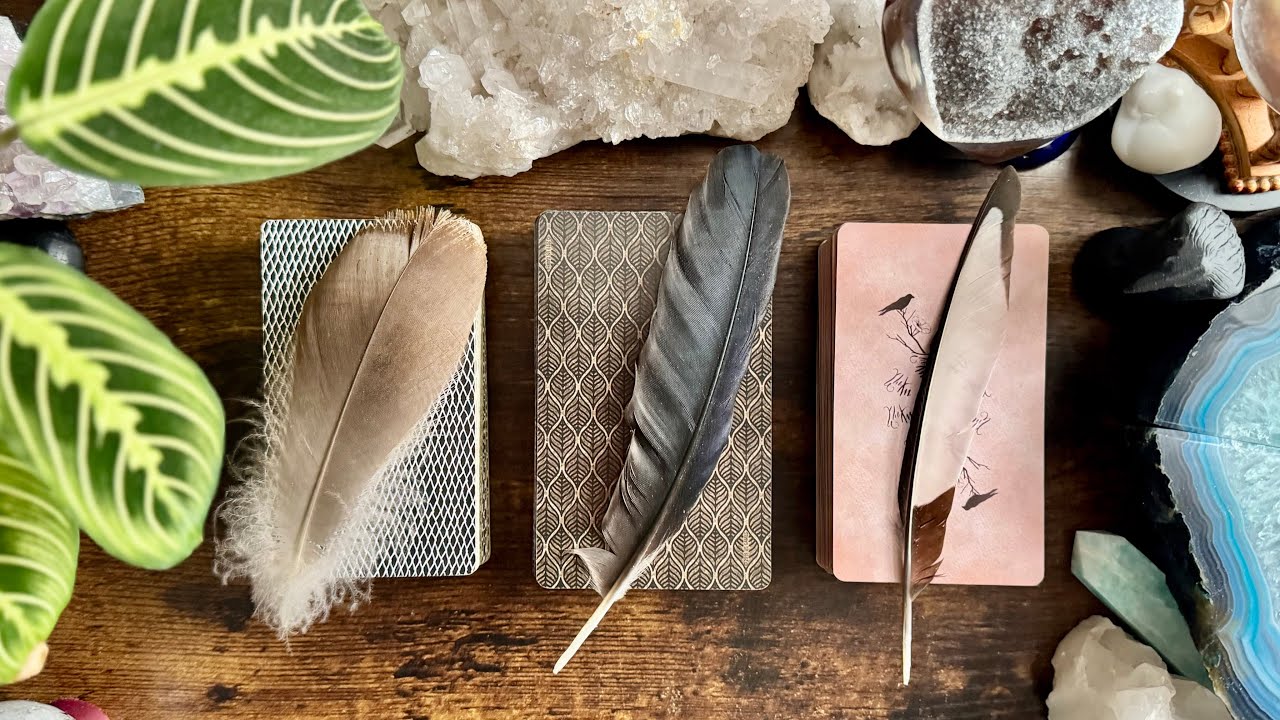 THEIR energy and How THEY are feeling about YOU! 🪶🪽🐦‍⬛ PICK A FEATHER 🐦‍⬛🪽🪶 TIMELESS READING 🪶🪽🐦‍⬛