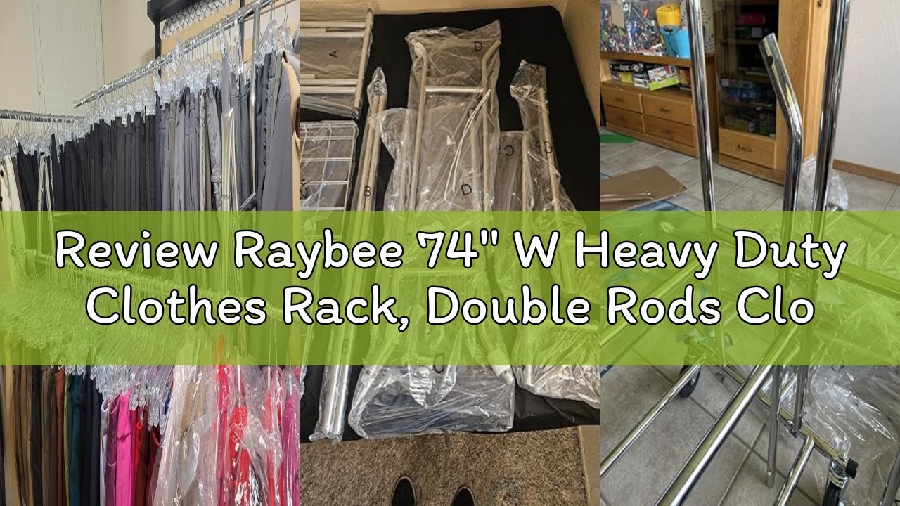 Review Raybee 74