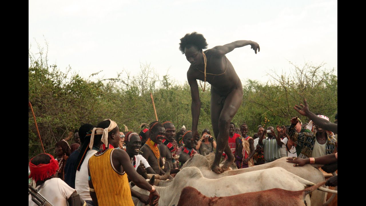 Hamar Tribe. Bull Jumping Ceremony. Ethiopia . Video by Andrzej Zarzecki