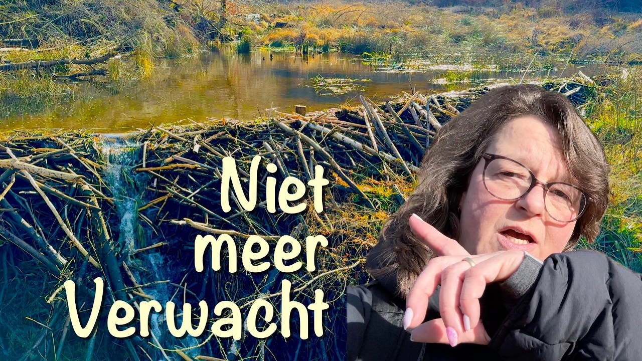 Dwalen langs de Ourthe - Solo op pad in de Ardennen