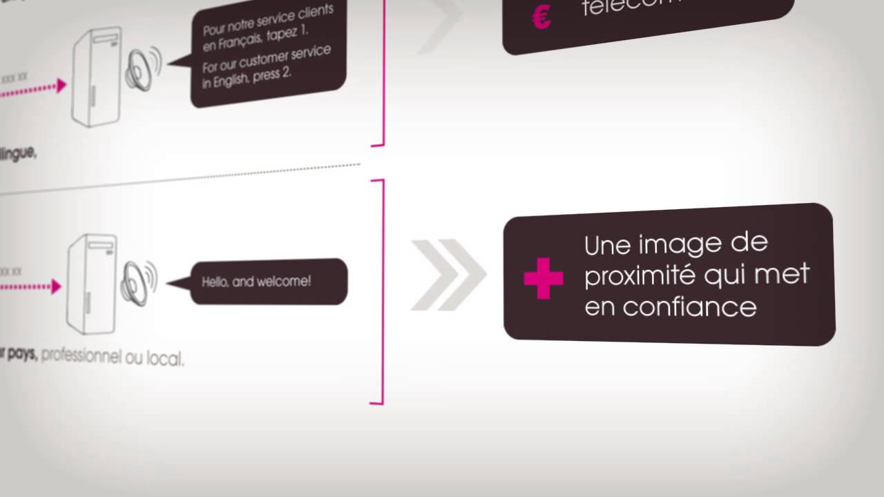 1. CENTRE DE CONTACT : Accueil Multi-Lingues