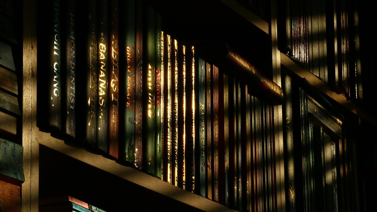 studying between old books on a lonely night | dark academia playlist
