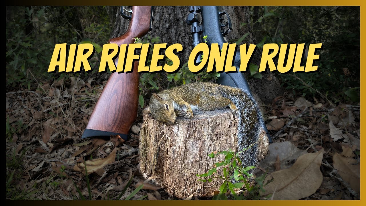 Air Riffle Squirrel hunt Challenge plus cook