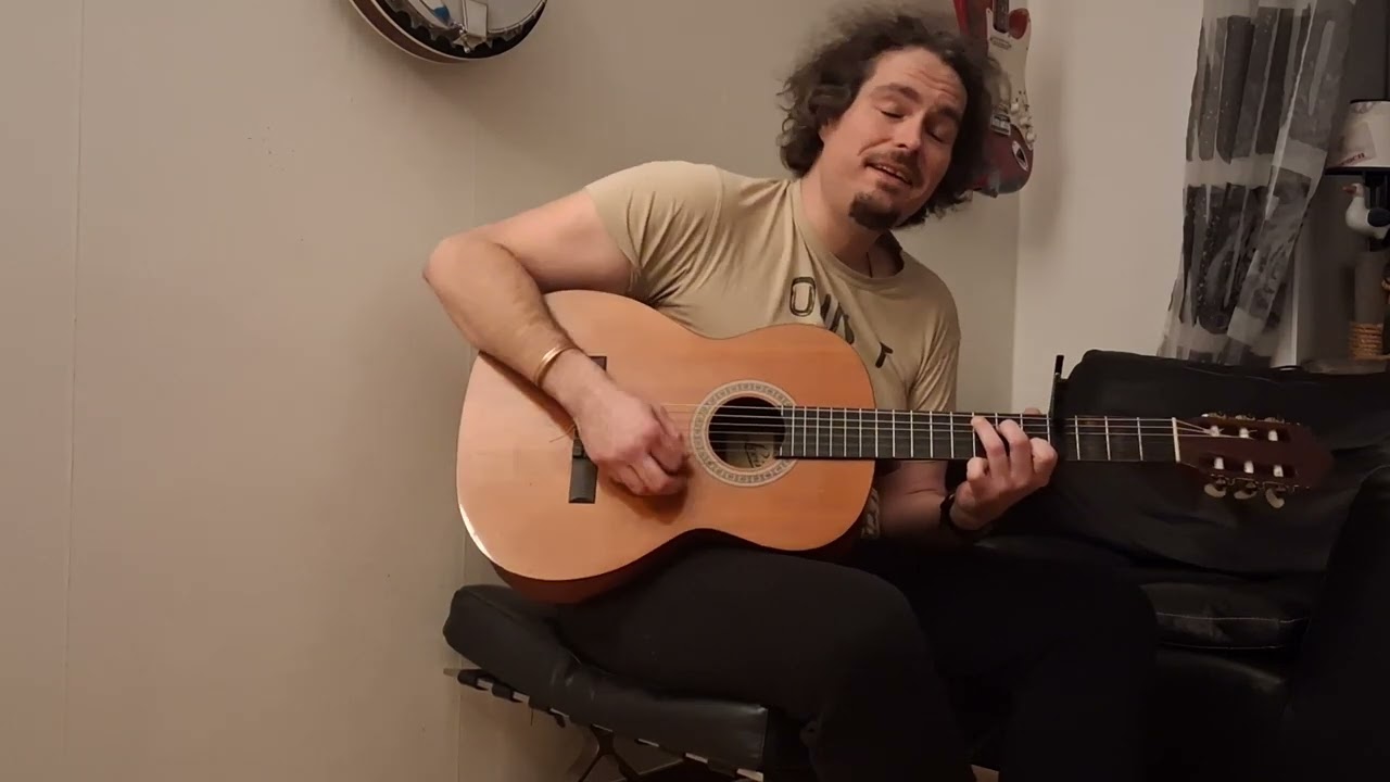 Im still fine - Red clay strays (COVER) 