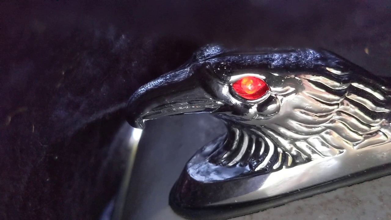 LED lighting for Eagle head hood ornament