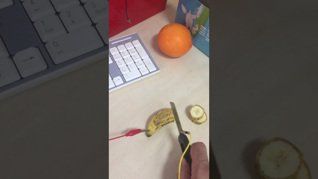 Stem makey makey