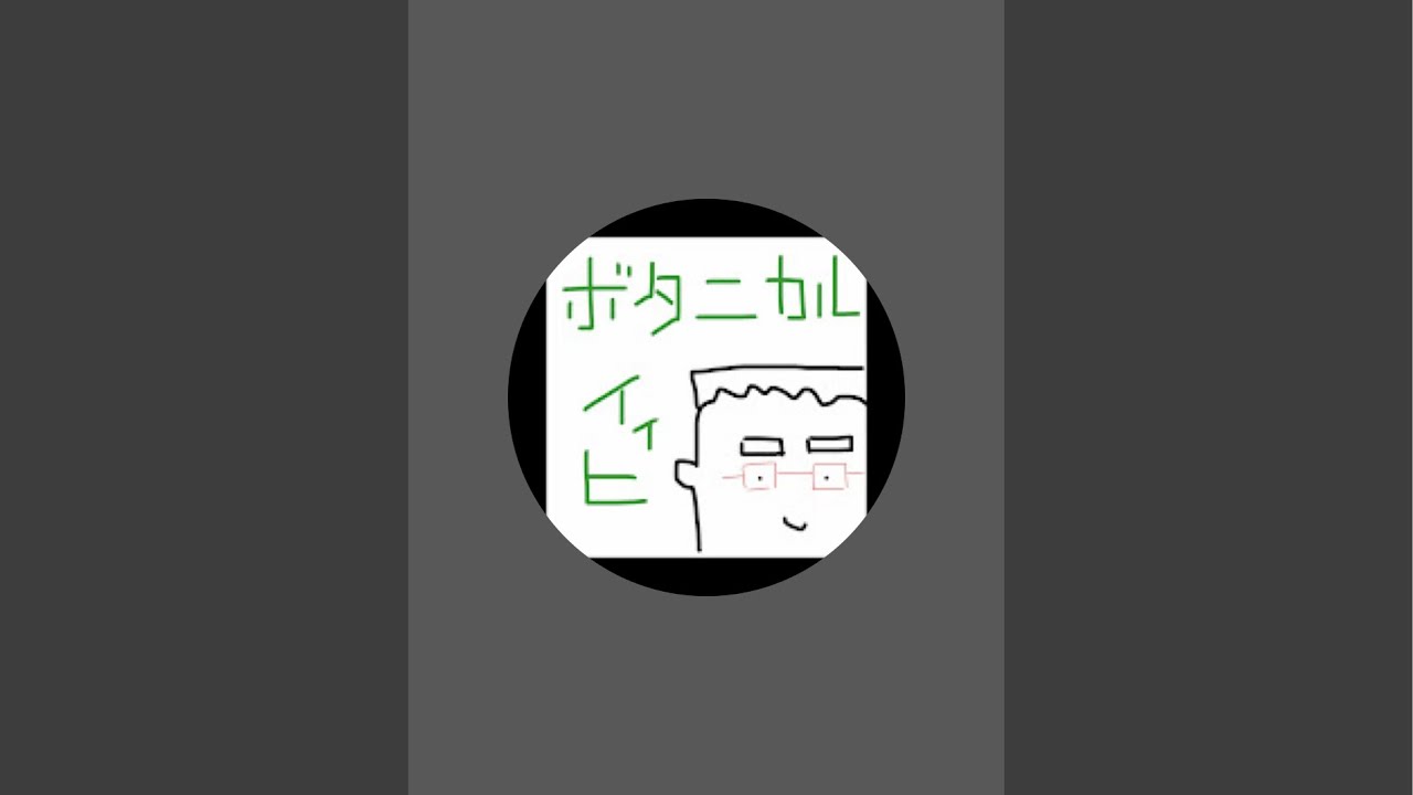 太鼓ライブ[17]