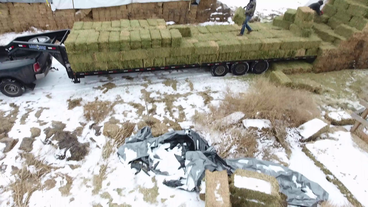 First flight hay hauling
