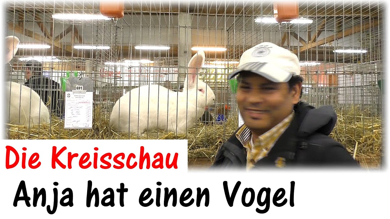 Die Kreisschau in Herrenberg / Anja hat einen Vogel