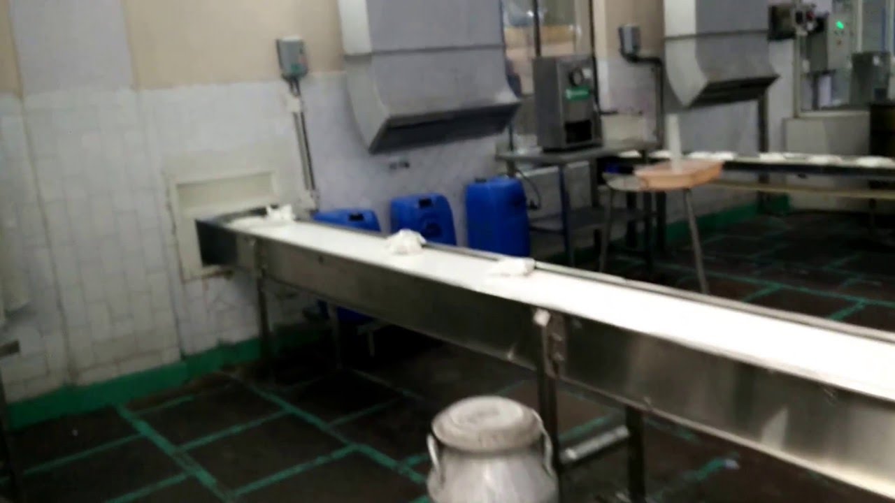 9 Meter Milk Conveyor