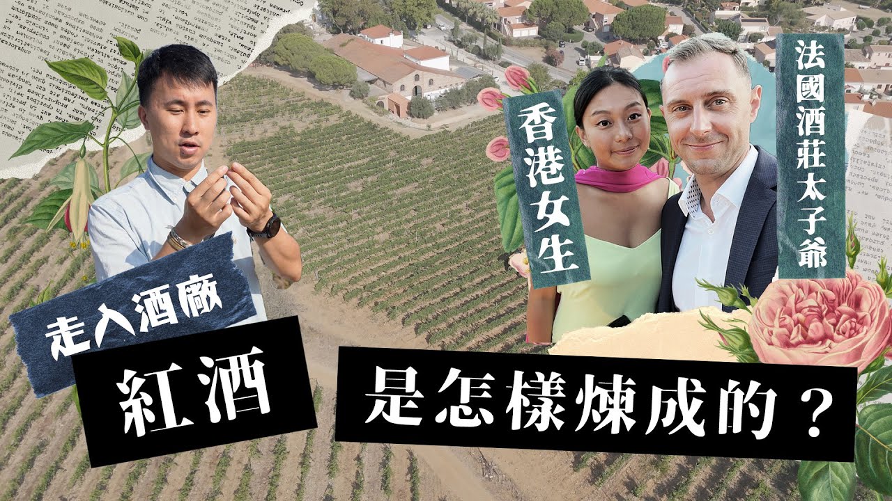 港女棄做律師嫁法國酒庄老闆｜體驗有錢人鄉郊釀酒生活一天 南法沙灘假期 古堡級酒庄餐廳你不知道的正宗法式田螺烹調方法！免費入住家族小鎮經營酒店