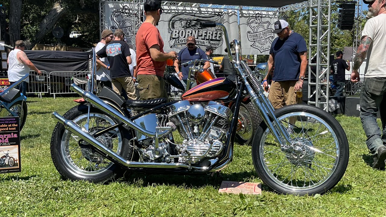 Born Free 15 Oak Canyon Park Silverado California June 22, 2024 Motorcycle Show