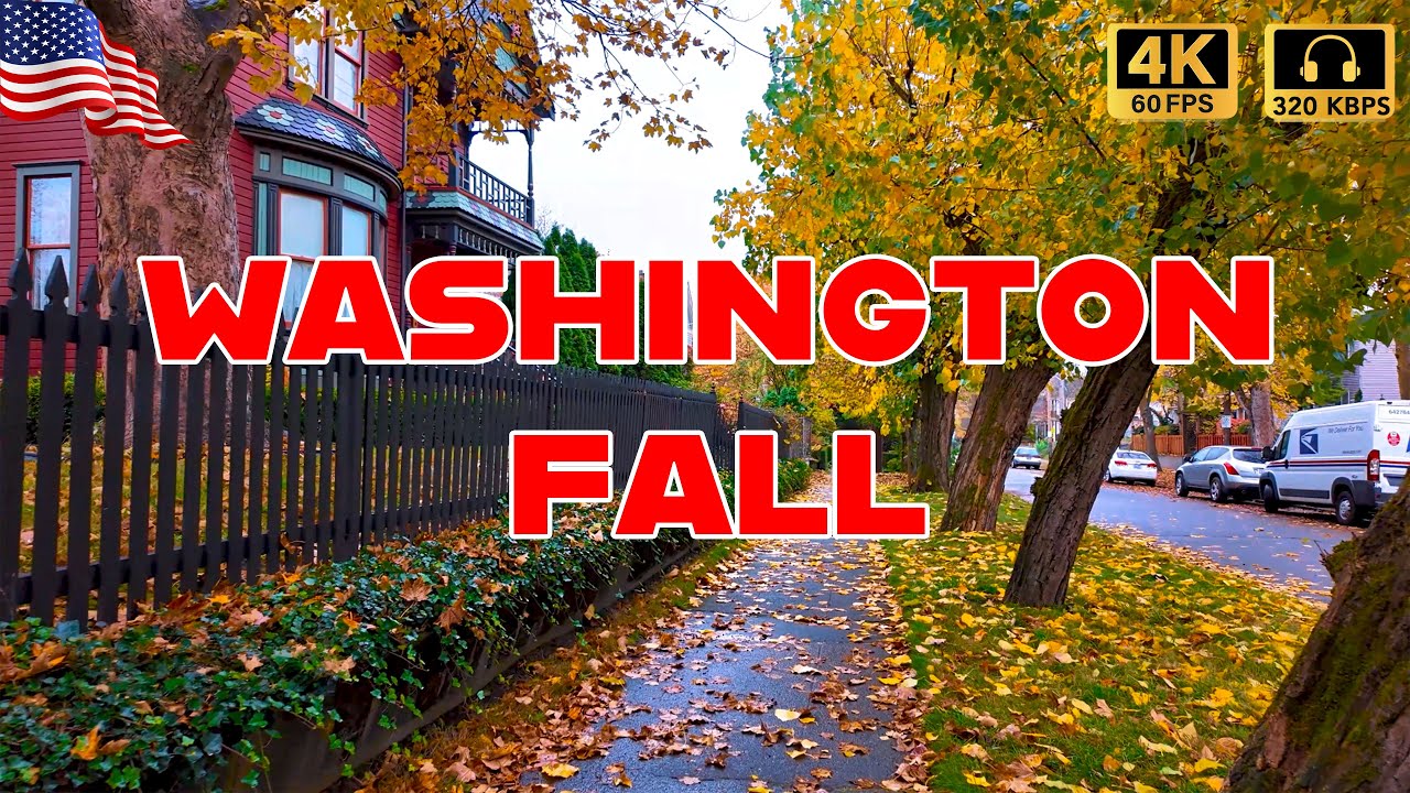 Downtown Seattle Fall Walking | Travel Walking Tour Seattle 4K | Walking American Neighborhoods