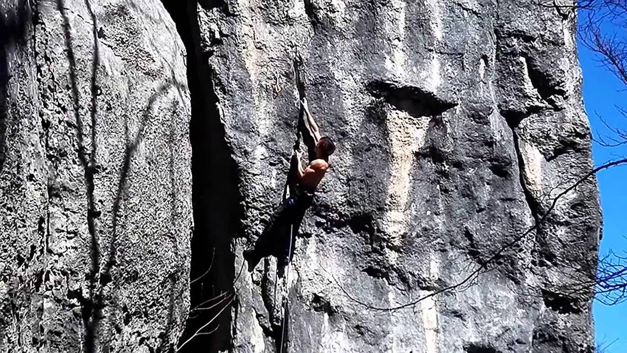 Ale Zeni on Terminator 8b