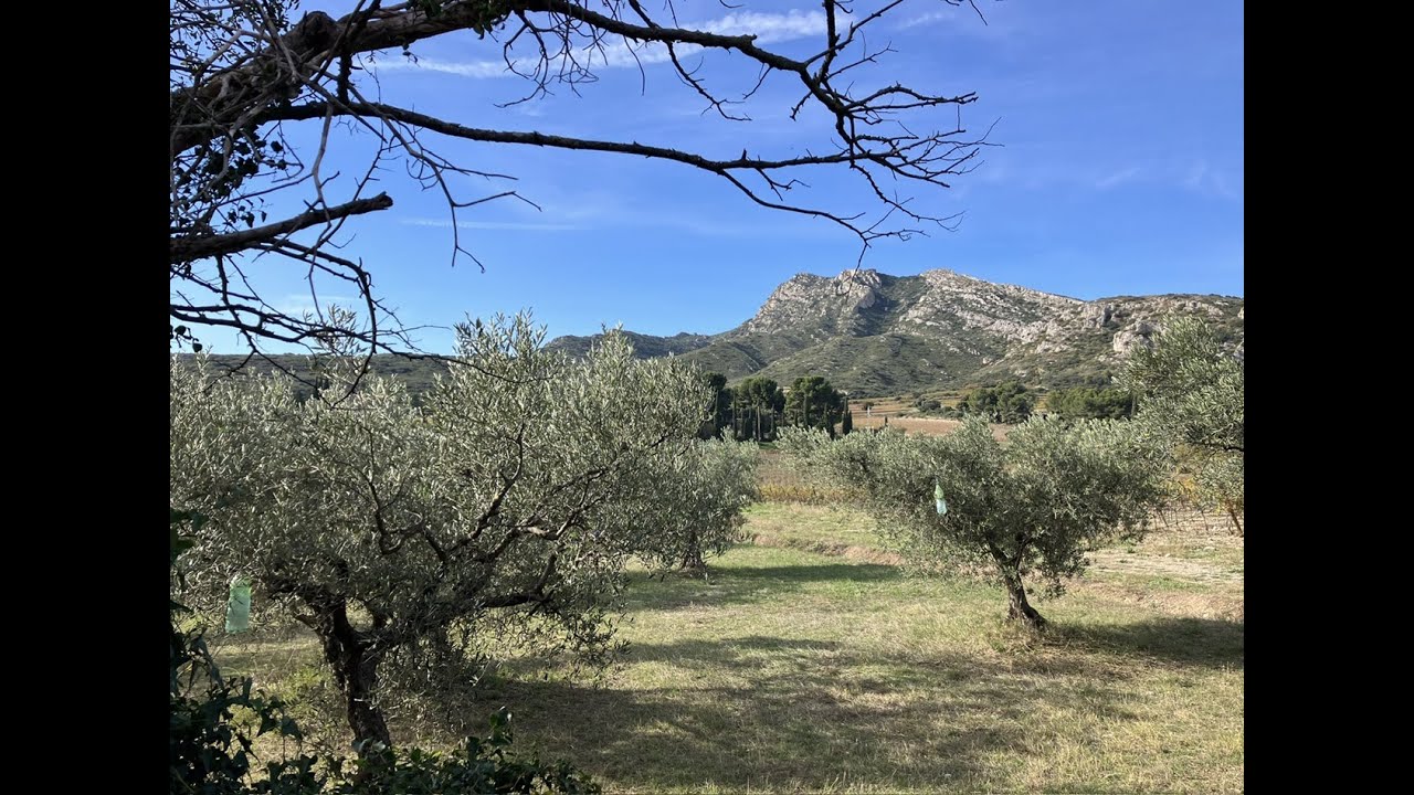 Randonnée dans les Alpilles - Le tour du Massif des Opies