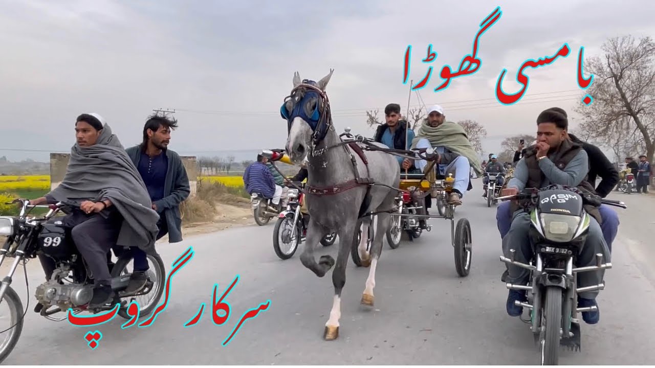 Bamsi horse race try sarkar group All Pakistan tanga horse race