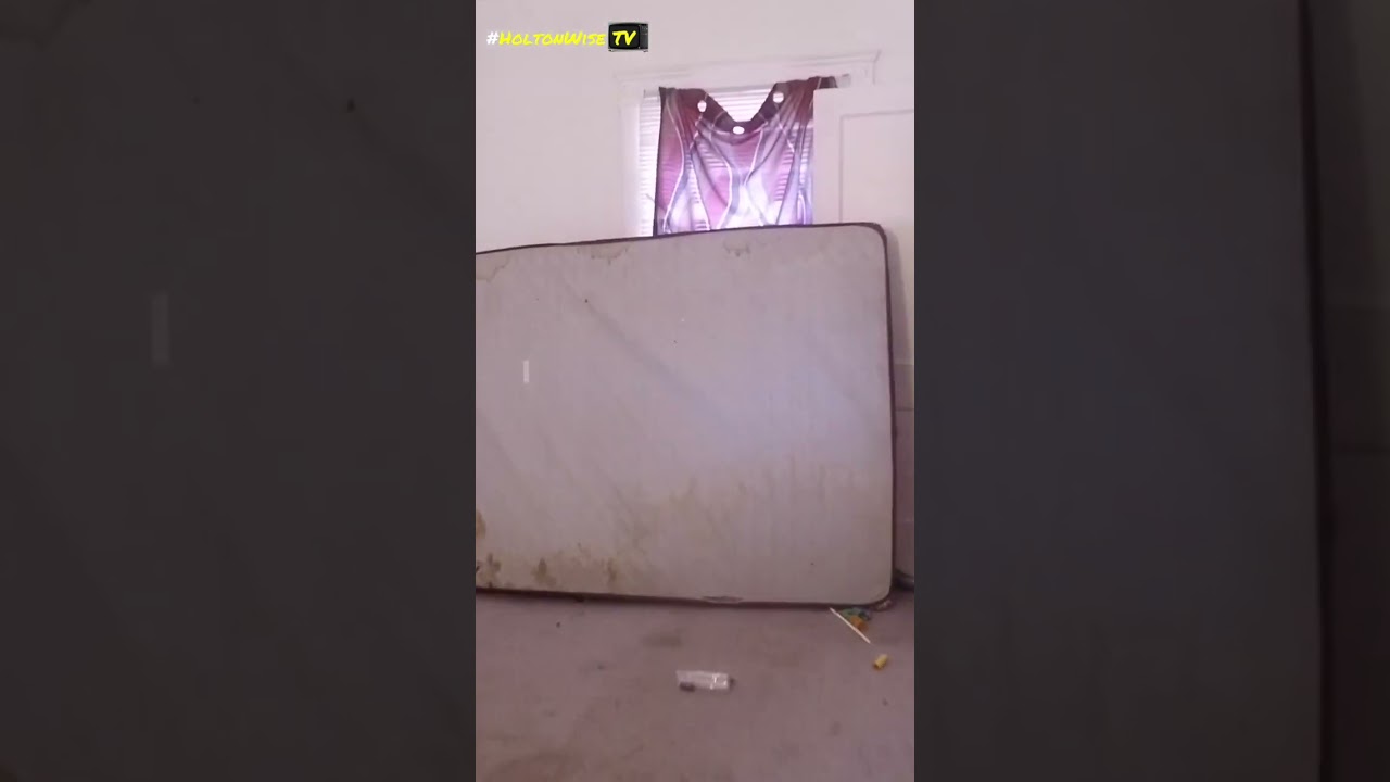 How to Evict a Tenant (Free Advice for Landlords) | HoltonWiseTV Highlights