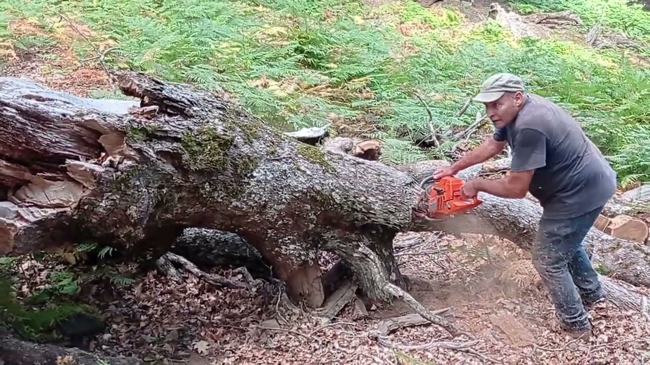 Husqvarna 372 XP.
