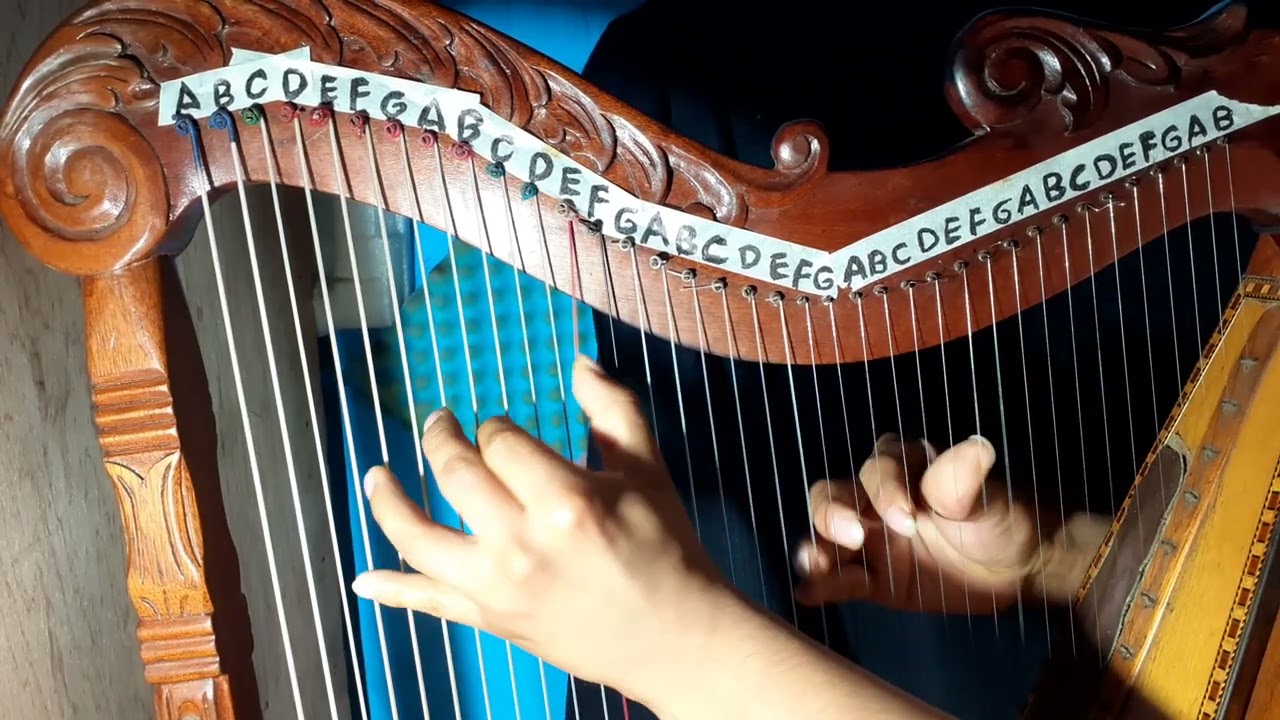 APRENDIENDO A EJECUTAR EL ARPA   NOEMI HUAMAN   TOMA EL PUÑAL Y MATAME    COVER
