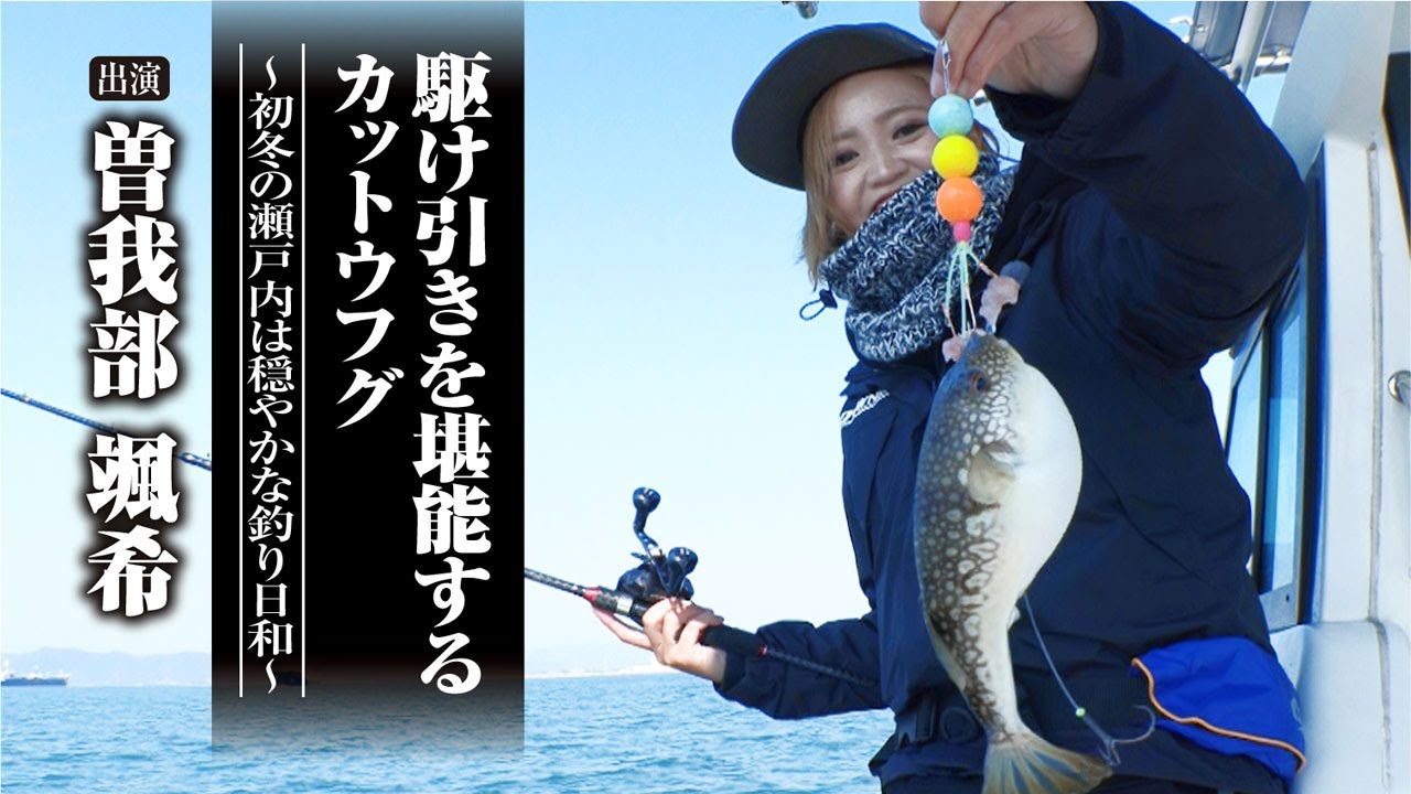 #545 駆け引きを堪能するカットウフグ～初冬の瀬戸内は穏やかな釣り日和～