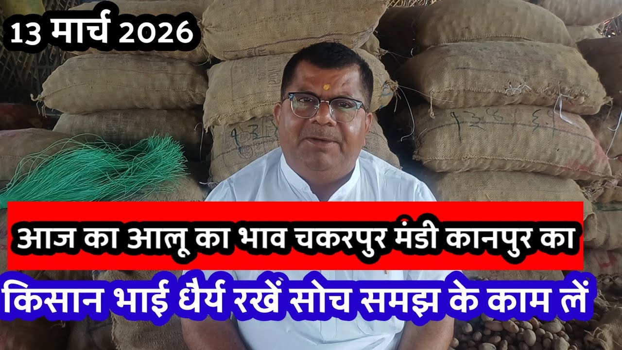 आज का आलू का भाव चकरपुर मंडी कानपुर का 13 मार्च 2026 