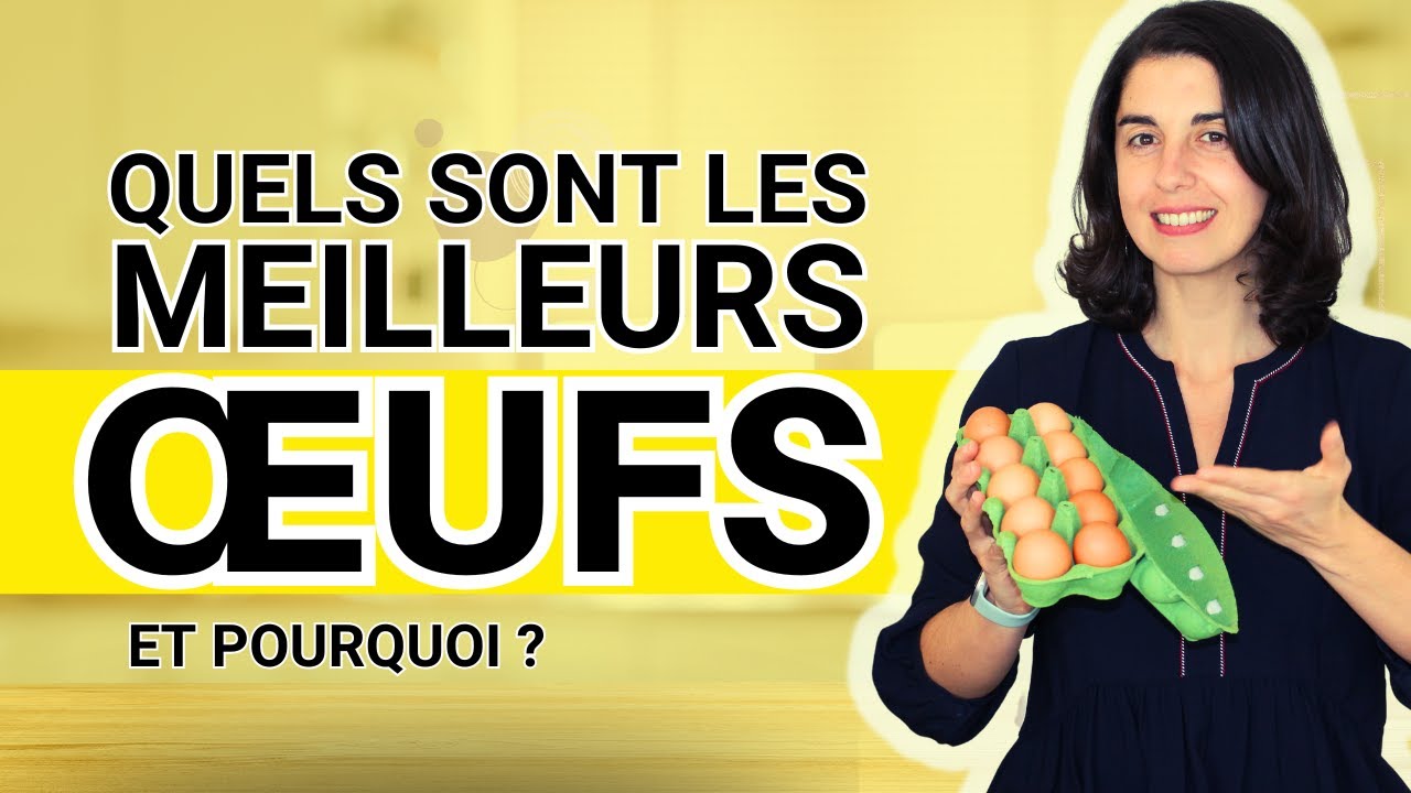 Œufs Bio, Label Rouge, Plein Air : Vaut-il la Peine de Payer Plus ?