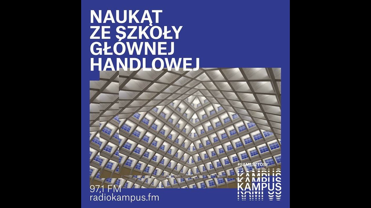 Naukąt SGH: Czy młodzi naprawdę nie chcą dzieci?