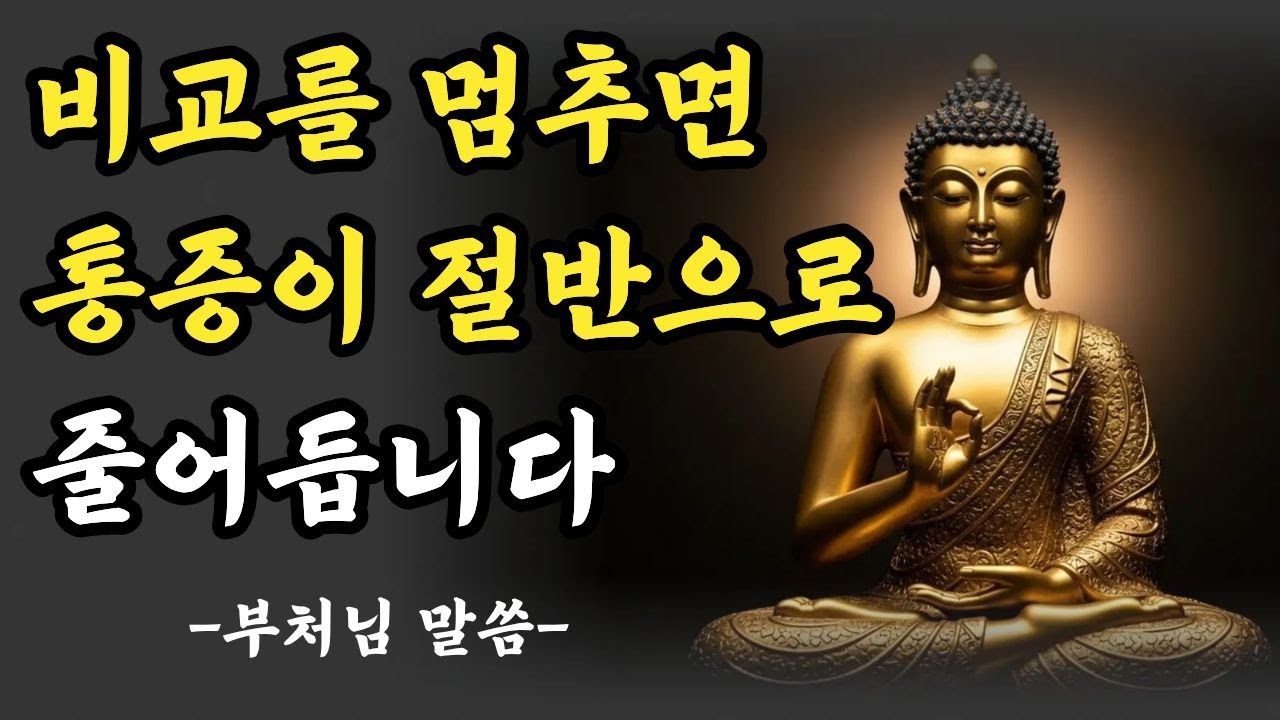 남의 건강과 내 몸을 비교하지 마세요. 나만의 속도로 살아가기- 부처님말씀